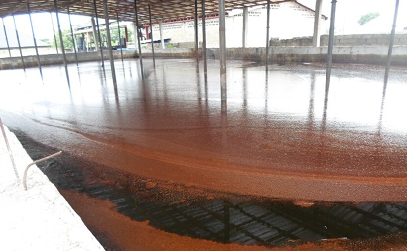 oily sludge treatment 1